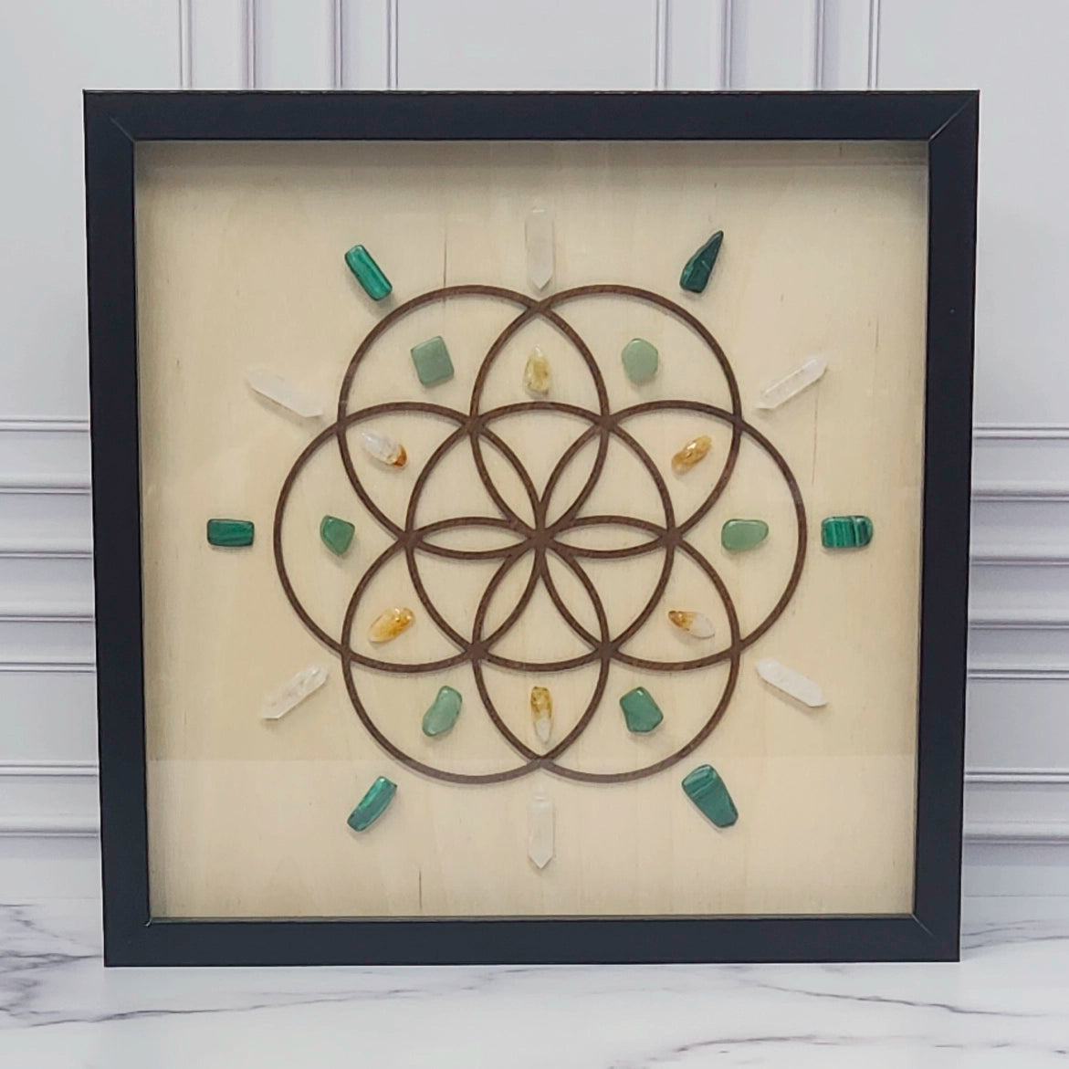 Video of the Abundance Grid being made